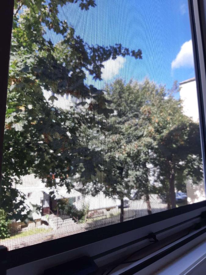 פיאטרה ניאמט Alma Apartament מראה חיצוני תמונה